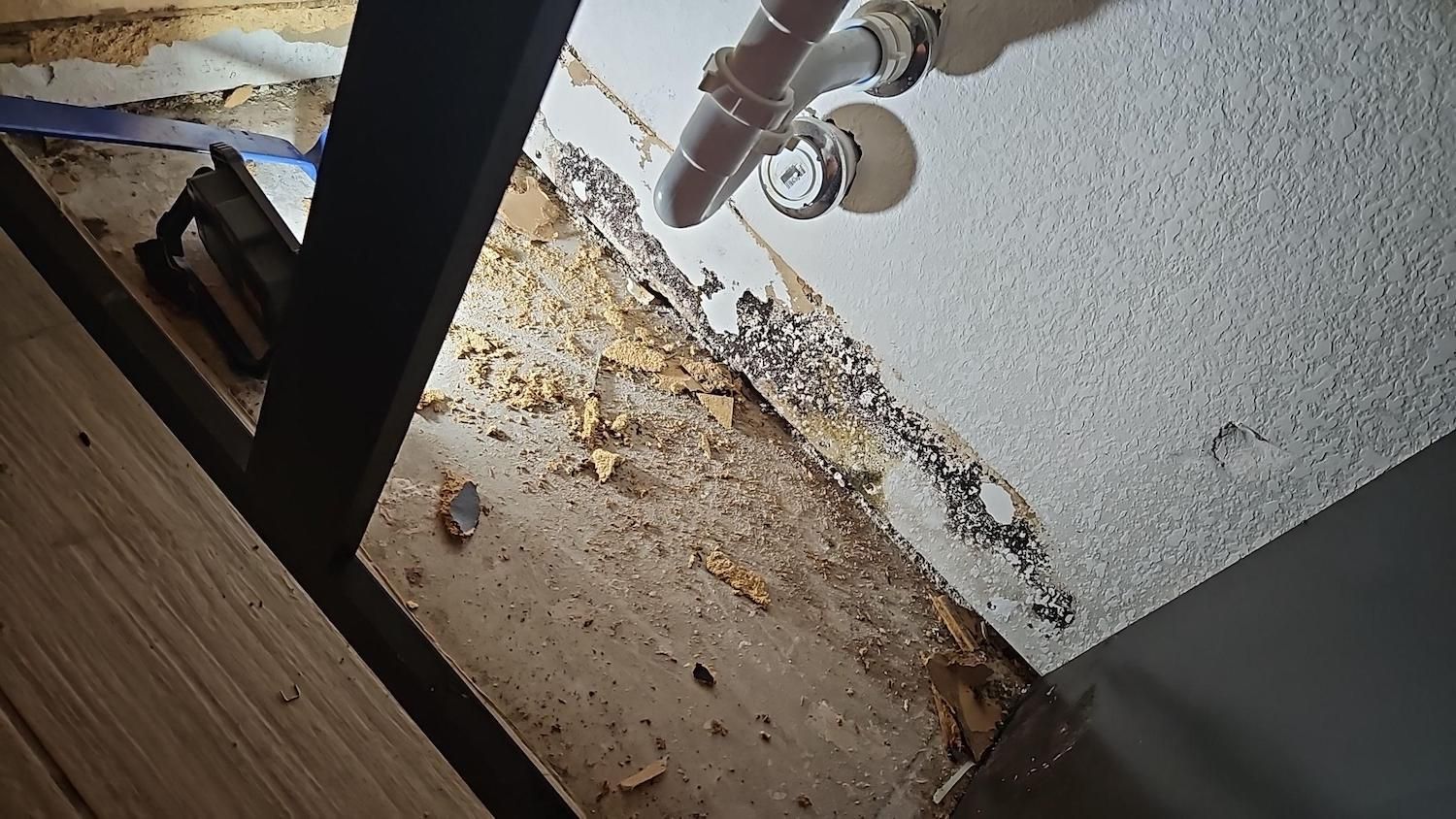 Bathroom mold remediation in pflugerville