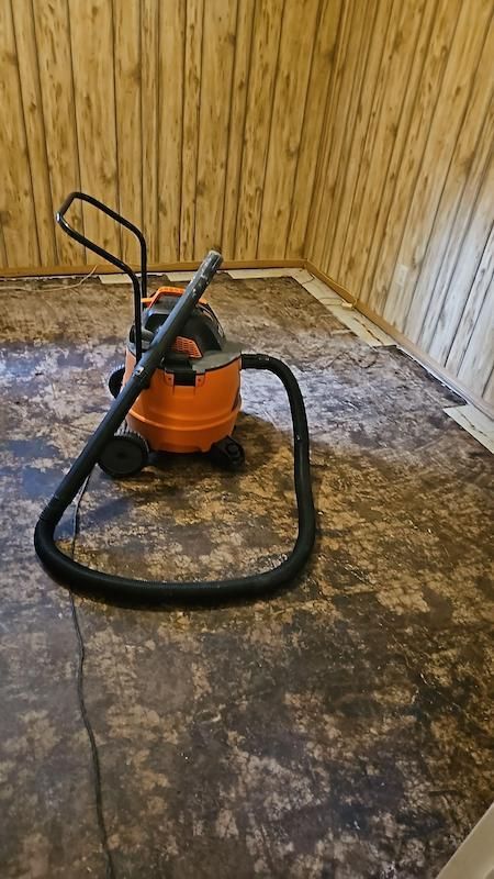 carpet water damage