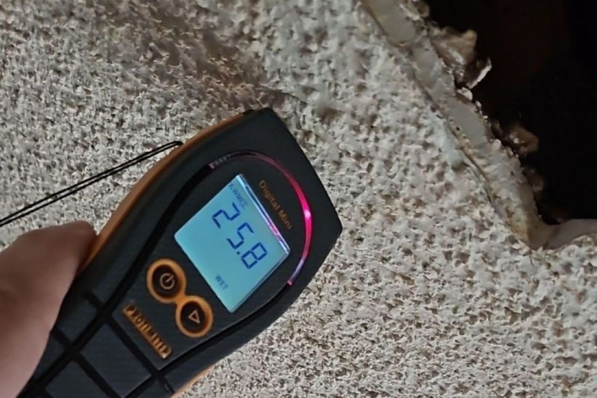 What Happens When Ceiling Damage Goes Untreated
