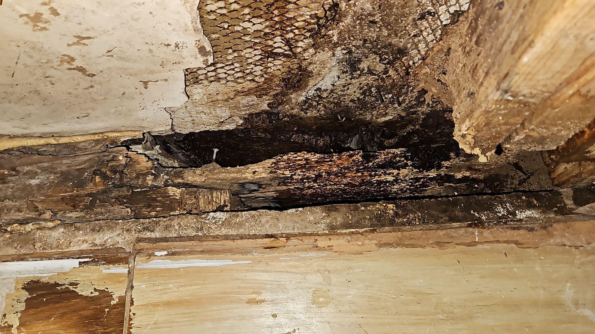 Removed drywall sections showing exposed framing and insulation during water damage restoration