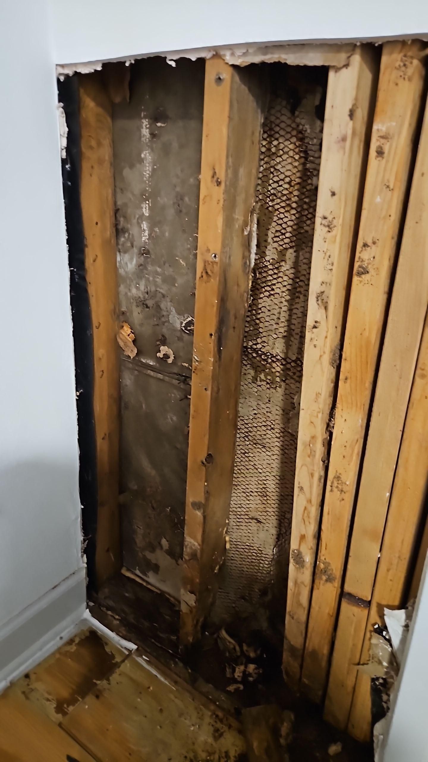 Exposed wall cavity after drywall removal ready for antimicrobial treatment in Austin home