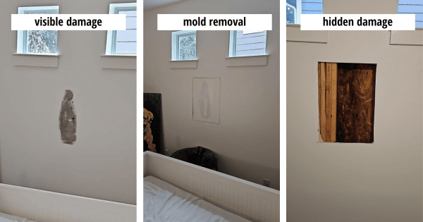 mold removal project done in Austin