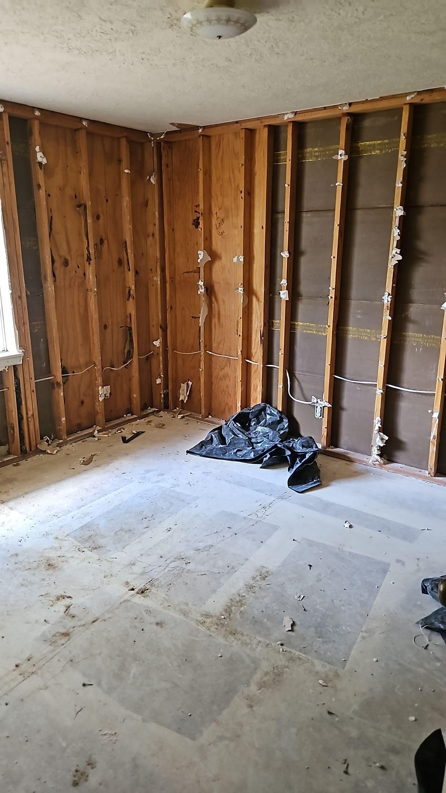 HEPA vacuum cleanup of mold debris after demolition phase of remediation project