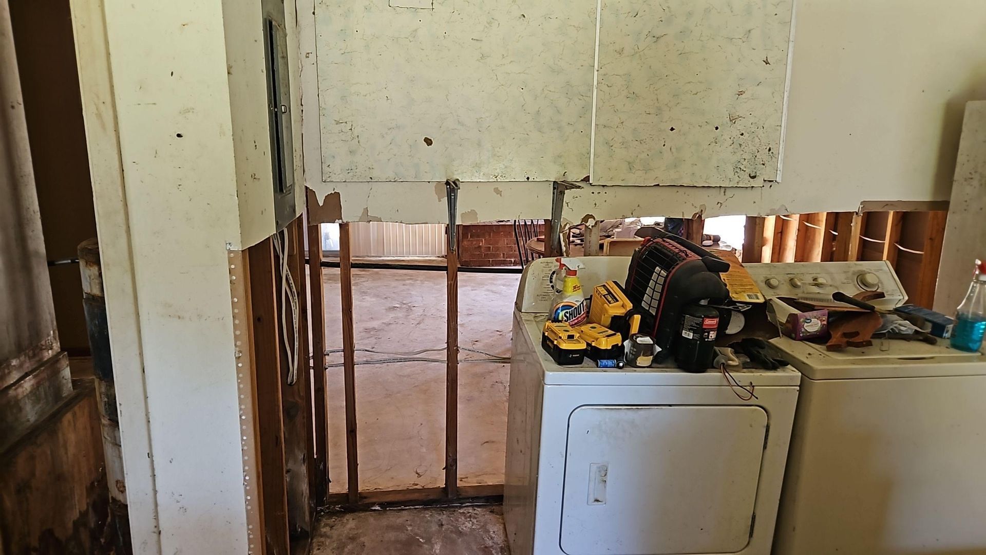 Cabinetry removed to expose hidden mold growth at base and interior panels