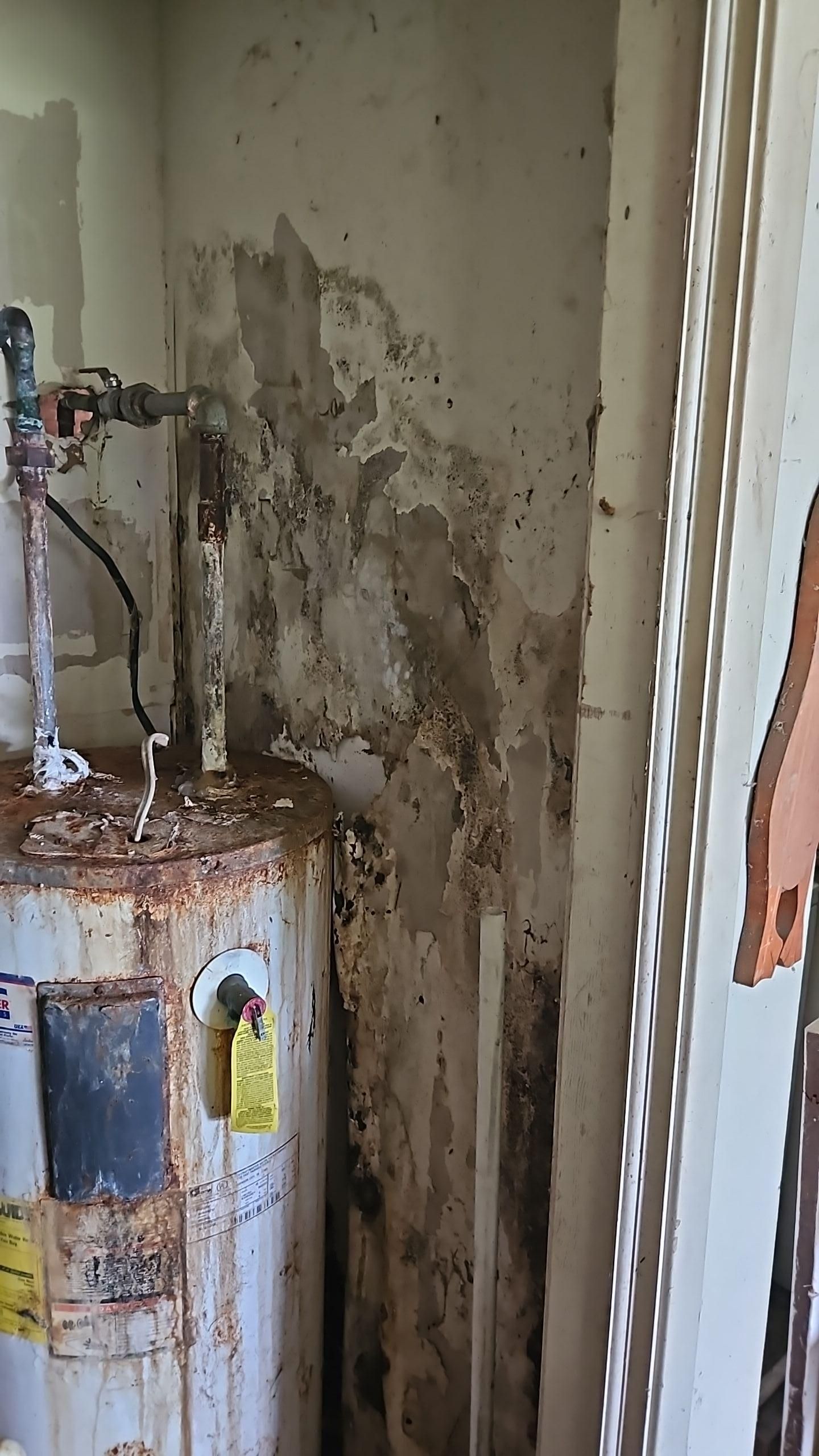 Affected insulation and structural framing exposed during mold remediation demo work