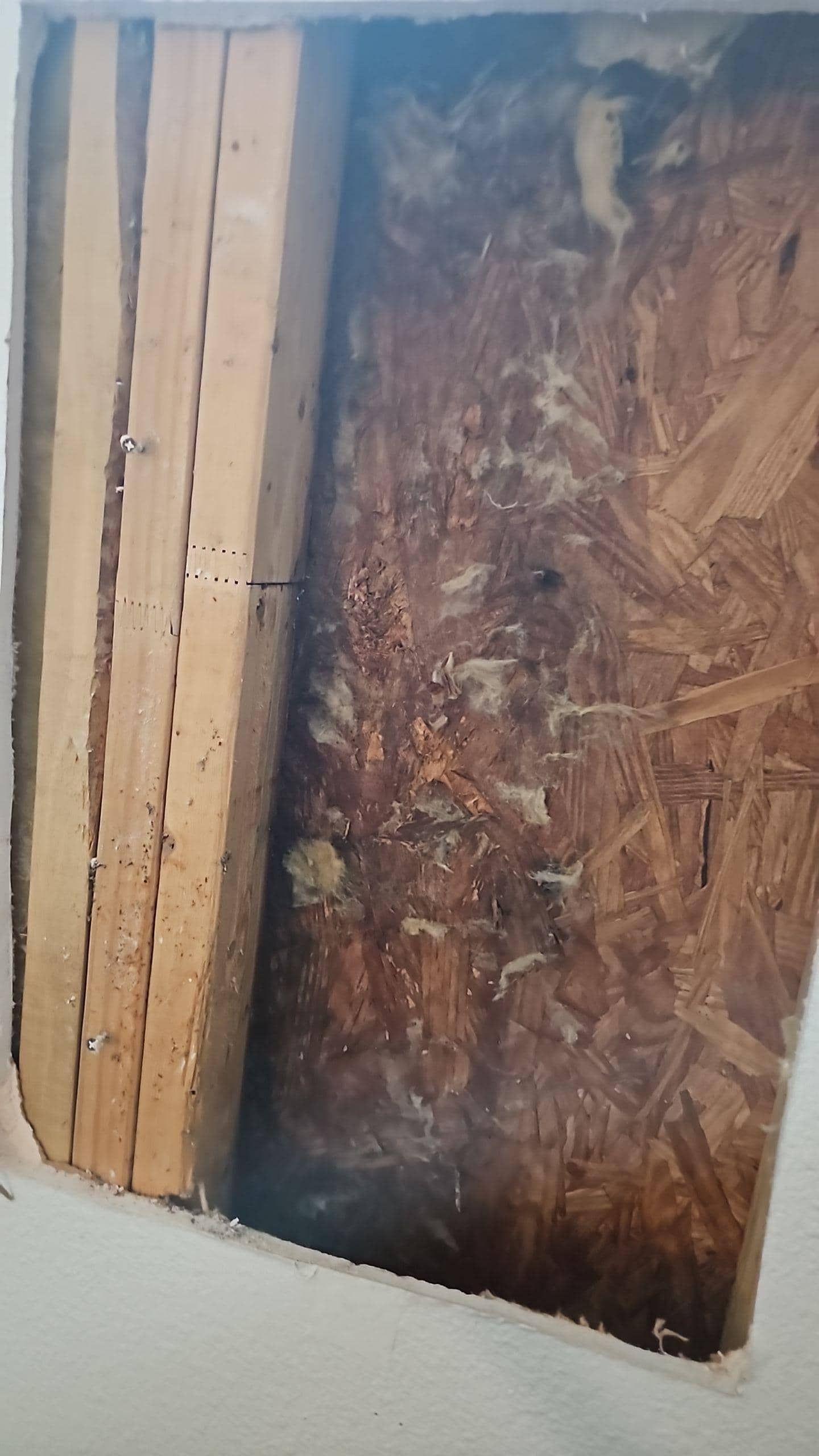 water mitigation austin tx