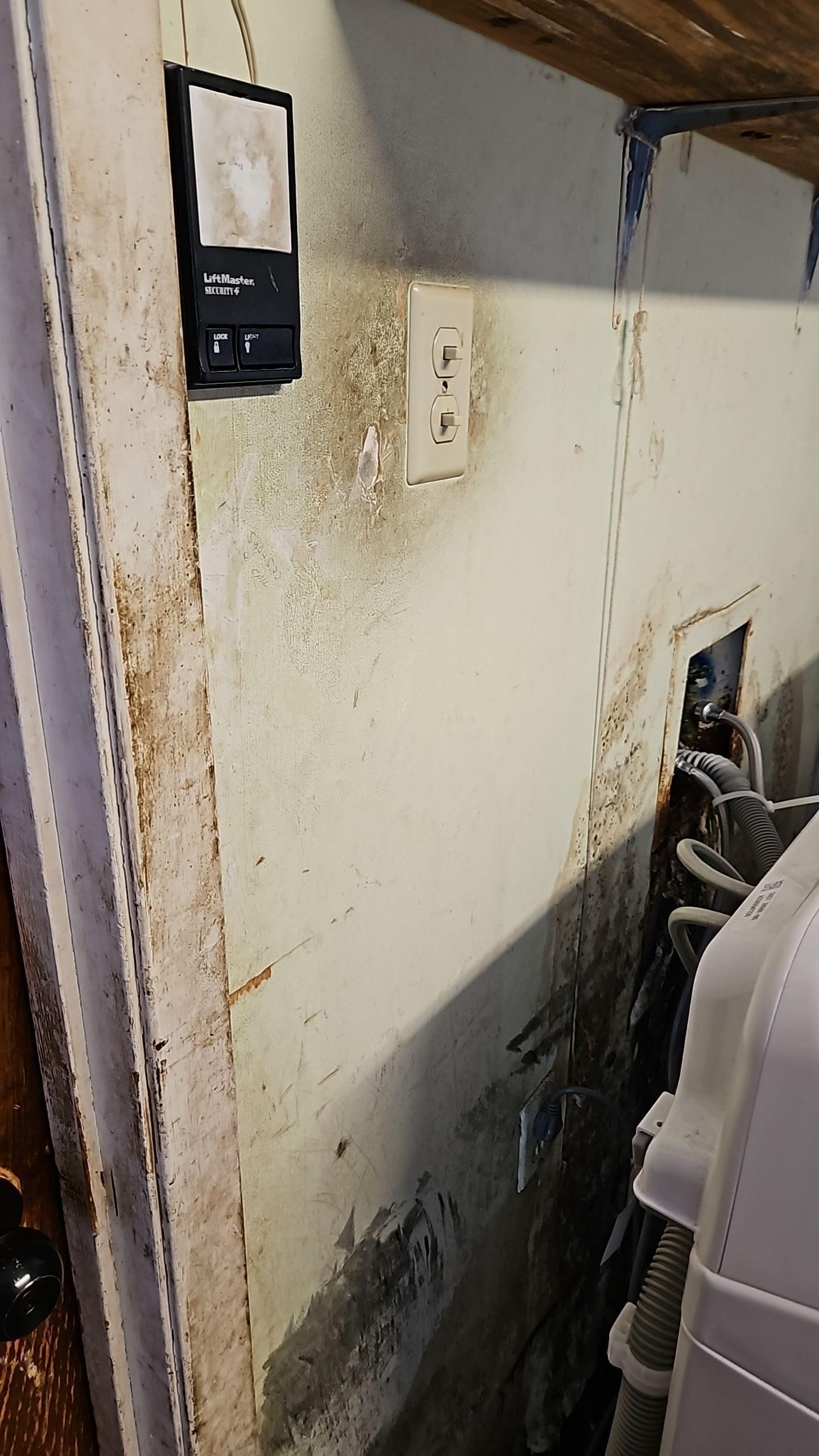 Washing machine leak damage showing saturated drywall and baseboard in sitting room