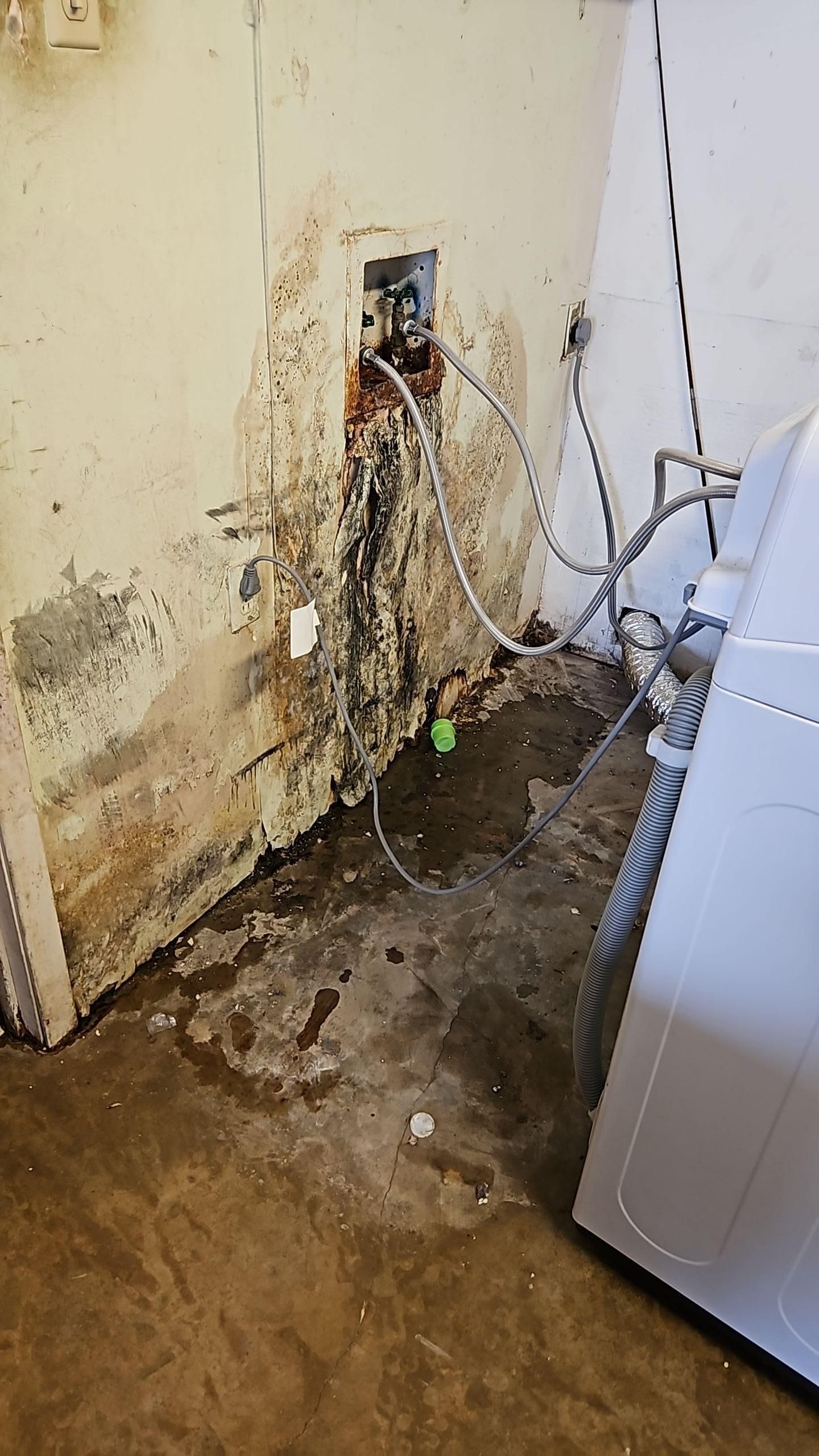 Washing machine water damage with visible moisture saturation at the base of the wall