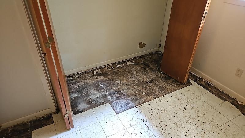 water damaged flooding removal