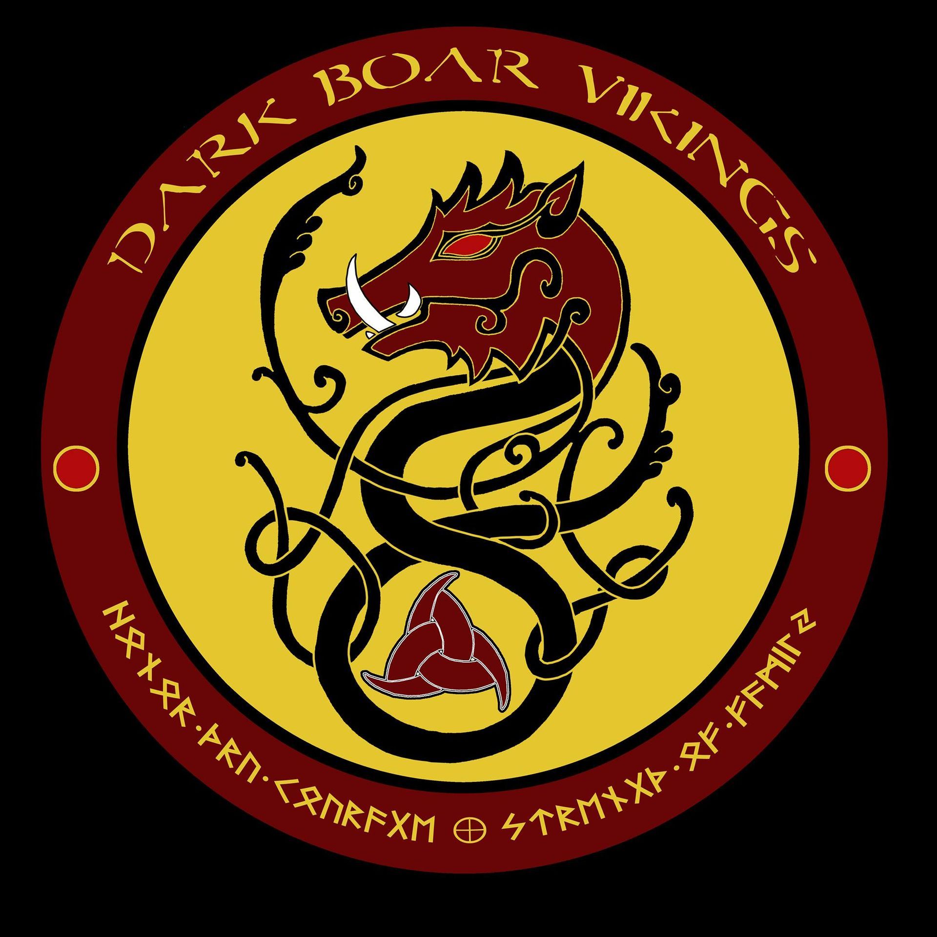 Emblem: Dark Boar Vikings logo with a boar, runes, and gold, red, and black colors.