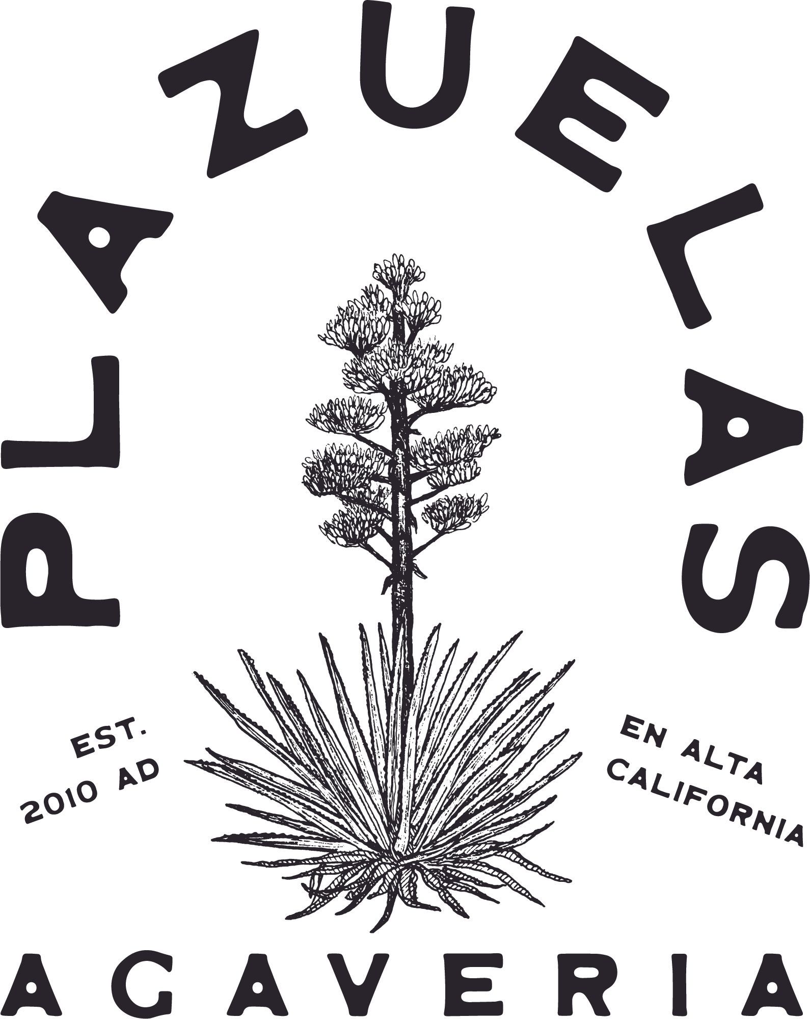 Logo for Plazuelas Acaveria: Text in a semi-circle with an agave plant illustration.