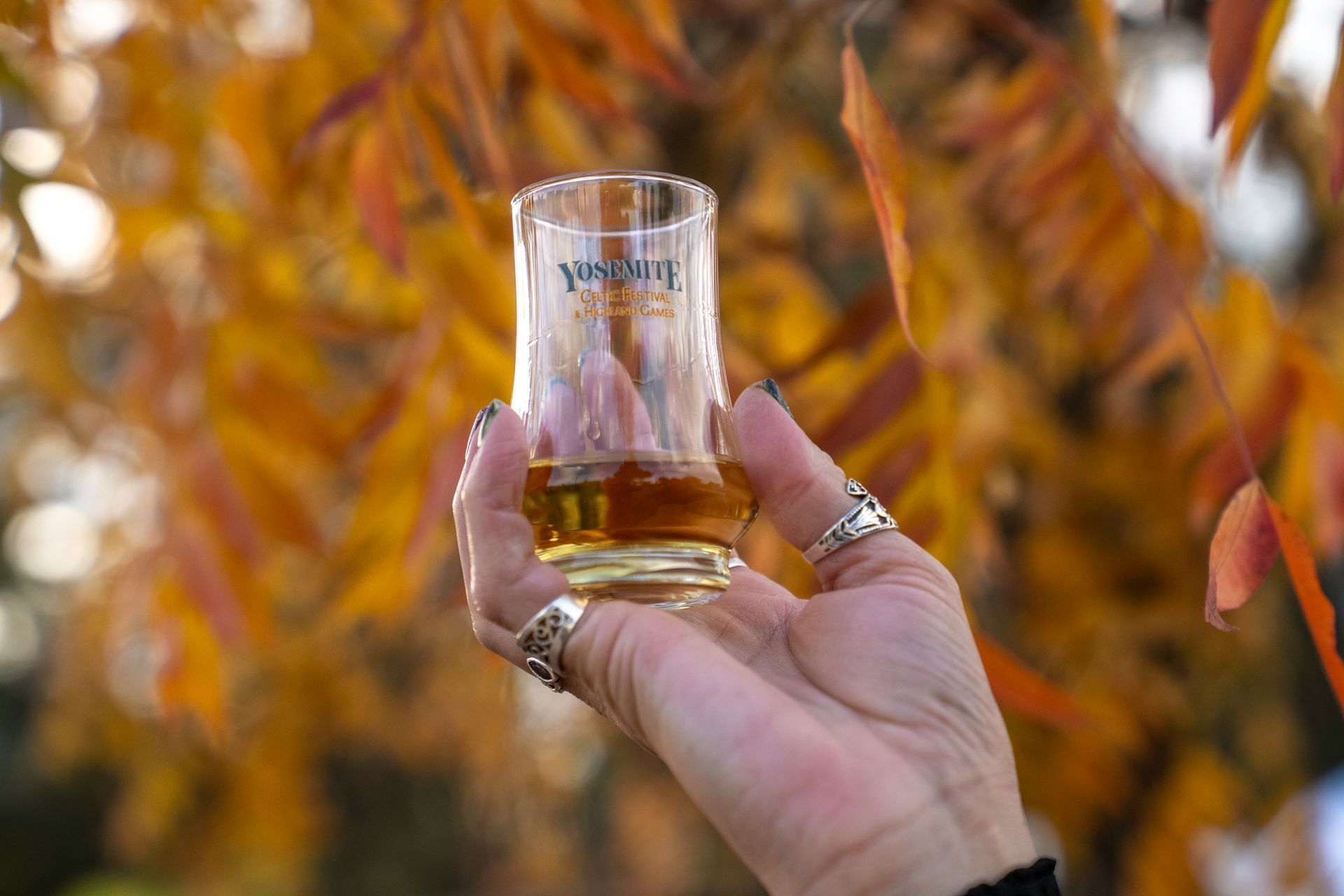 Hand holding a glass of amber whiskey with autumn leaves blurred in the background