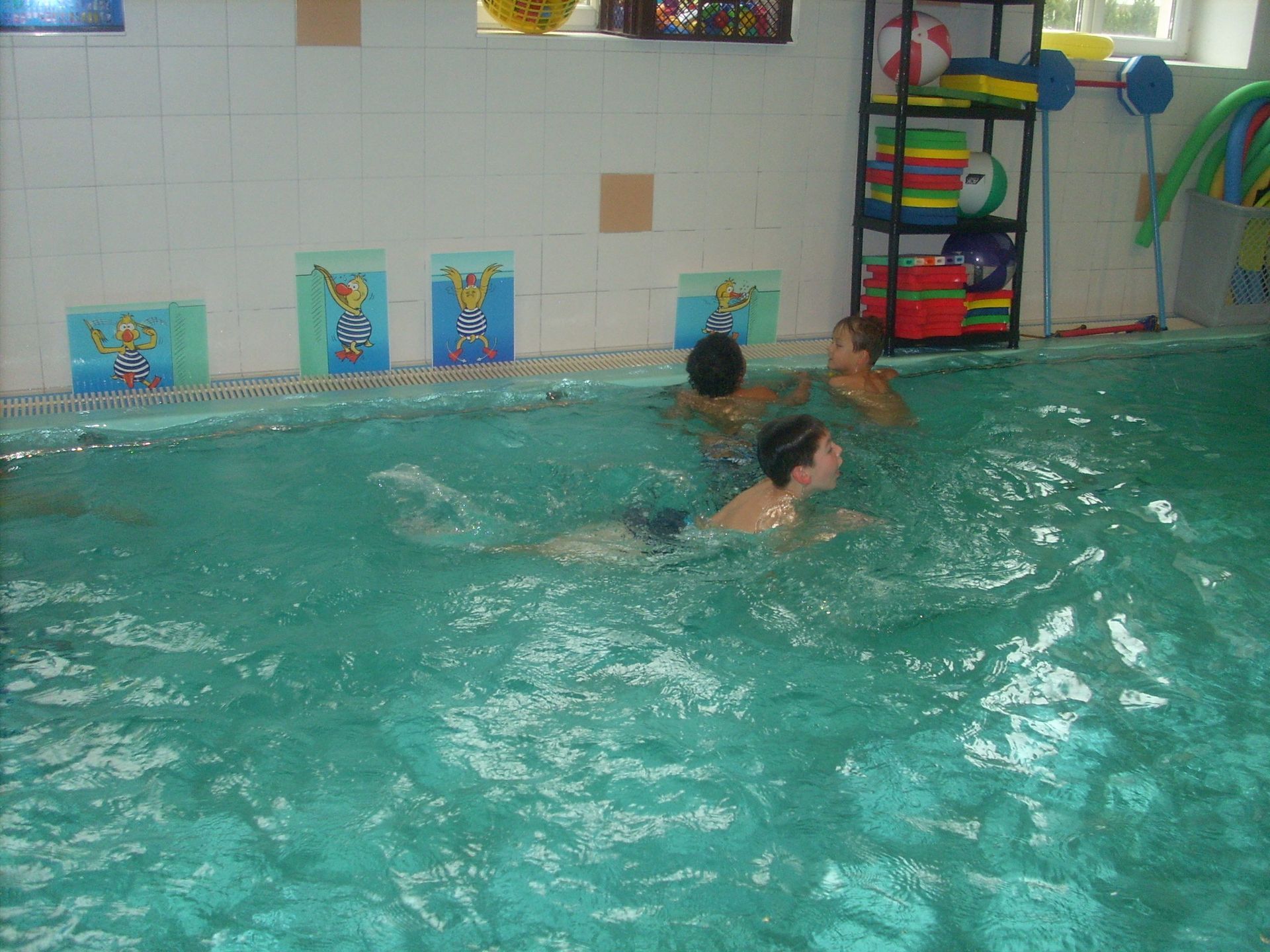 Schwimmkurs in Leipzig, Schwimmschule Leipzig