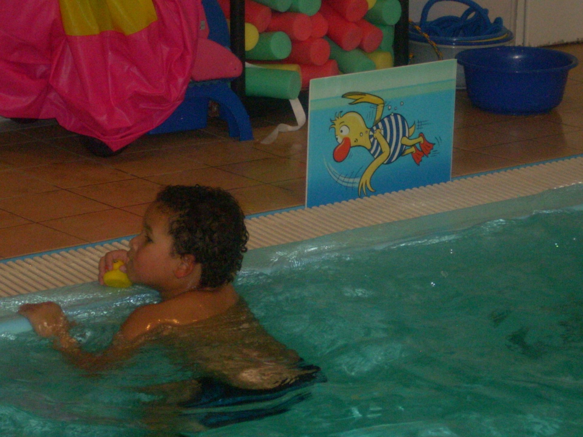 Schwimmkurs in Leipzig, Schwimmschule Leipzig