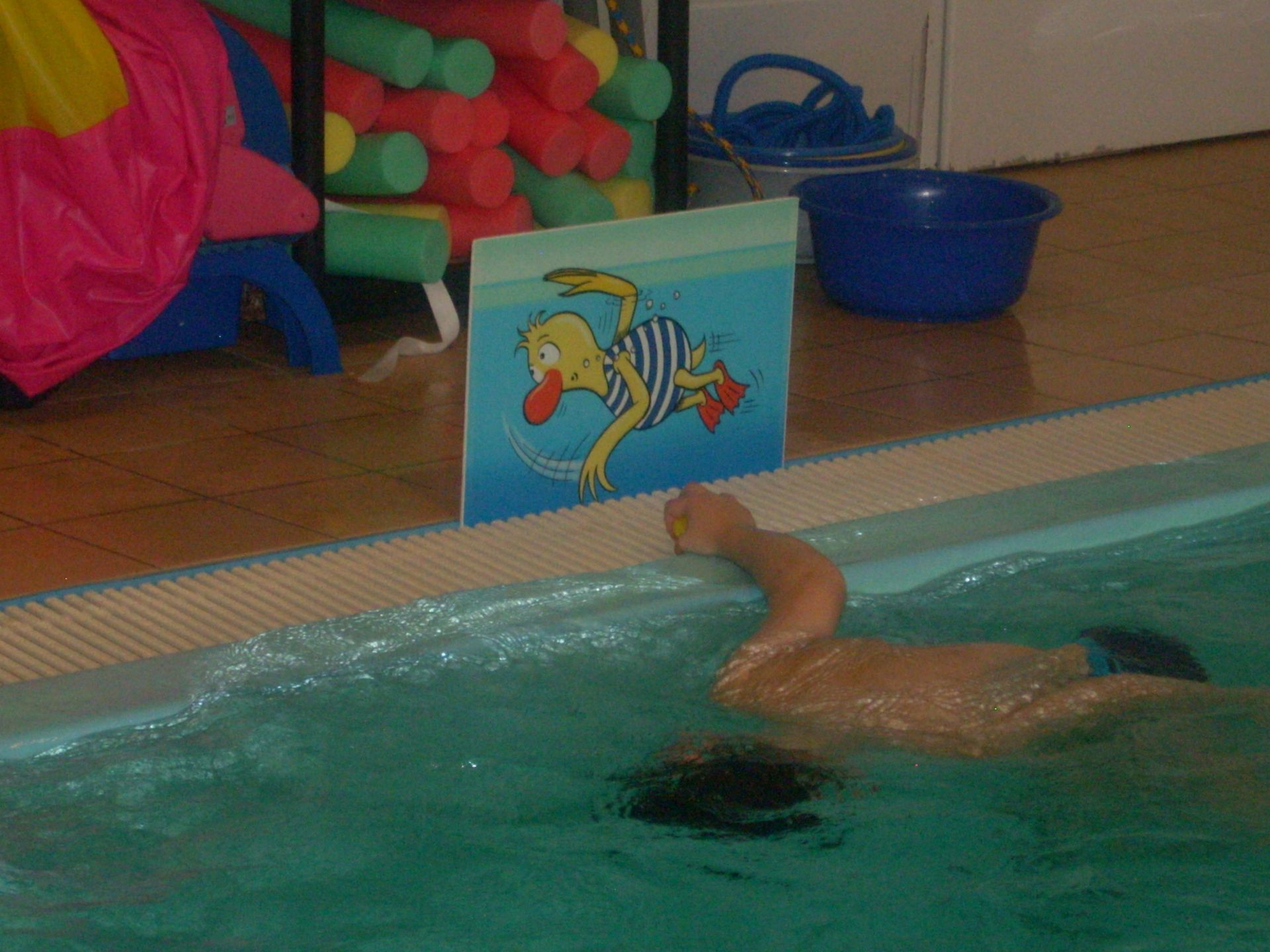 Schwimmkurs in Leipzig, Schwimmschule Leipzig