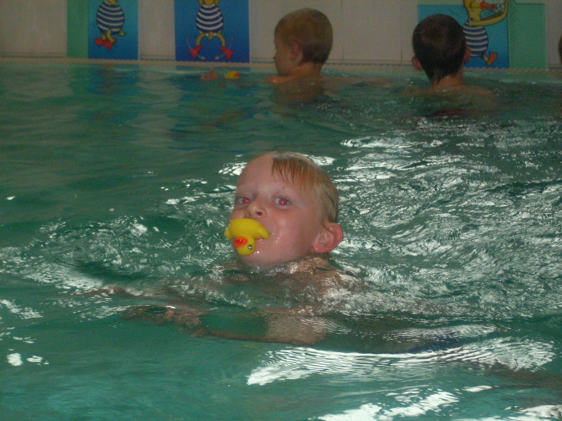 Schwimmkurs in Leipzig, Schwimmschule Leipzig