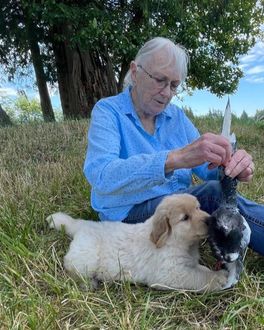 Conway Kennels Owner Charlotte Vandebrake