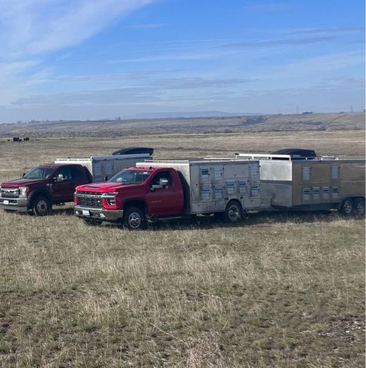 Conway Kennels Dog Trucks