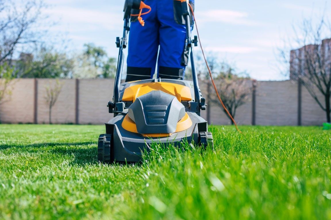 Person mowing a green lawn with a black and orange lawn mower