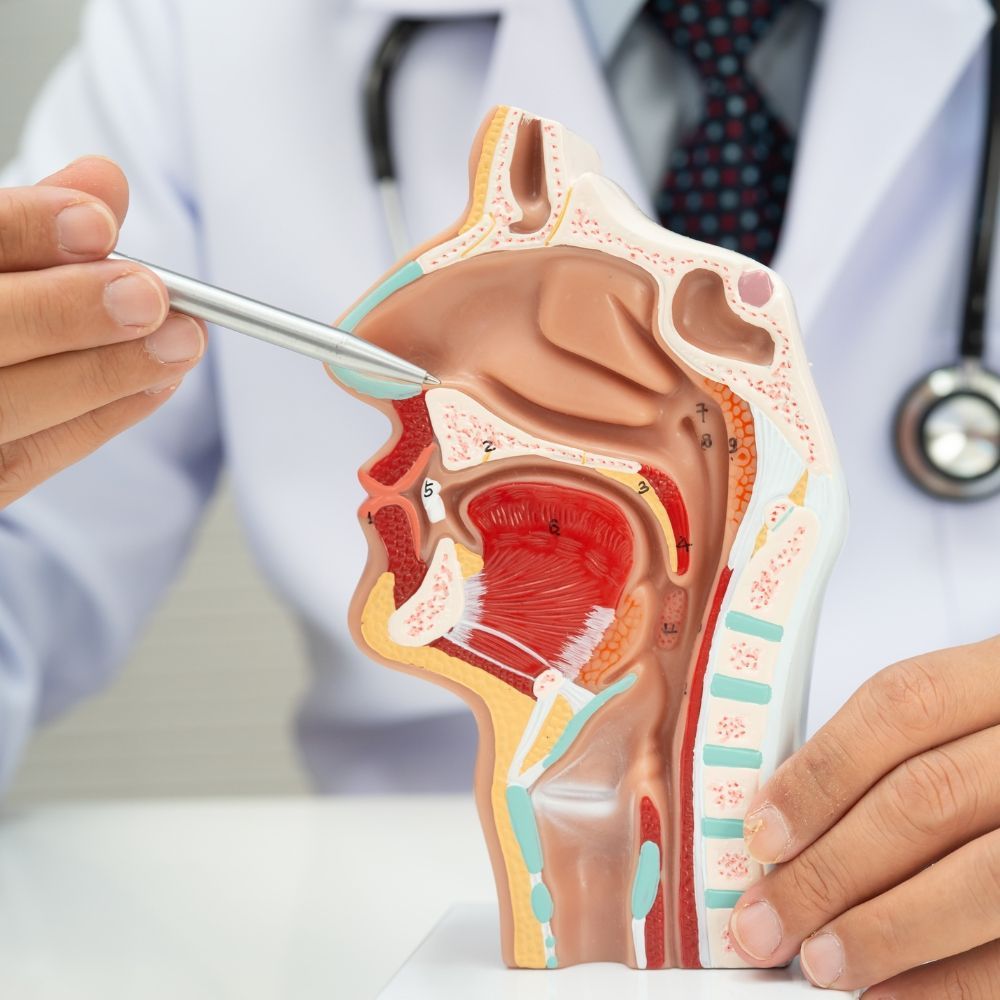 Sinus pressure and congestion evaluation at Superior Health