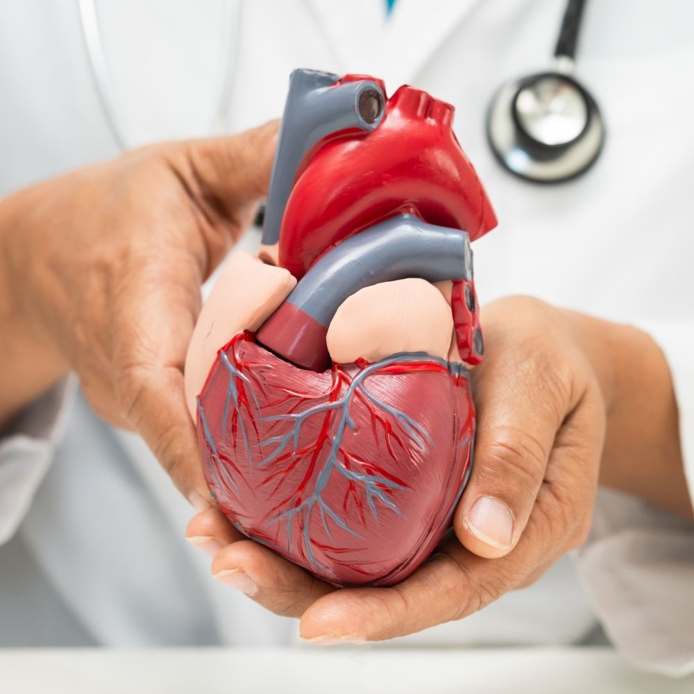 Heart Disease Prevention at Superior Health