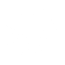 Blank white image.