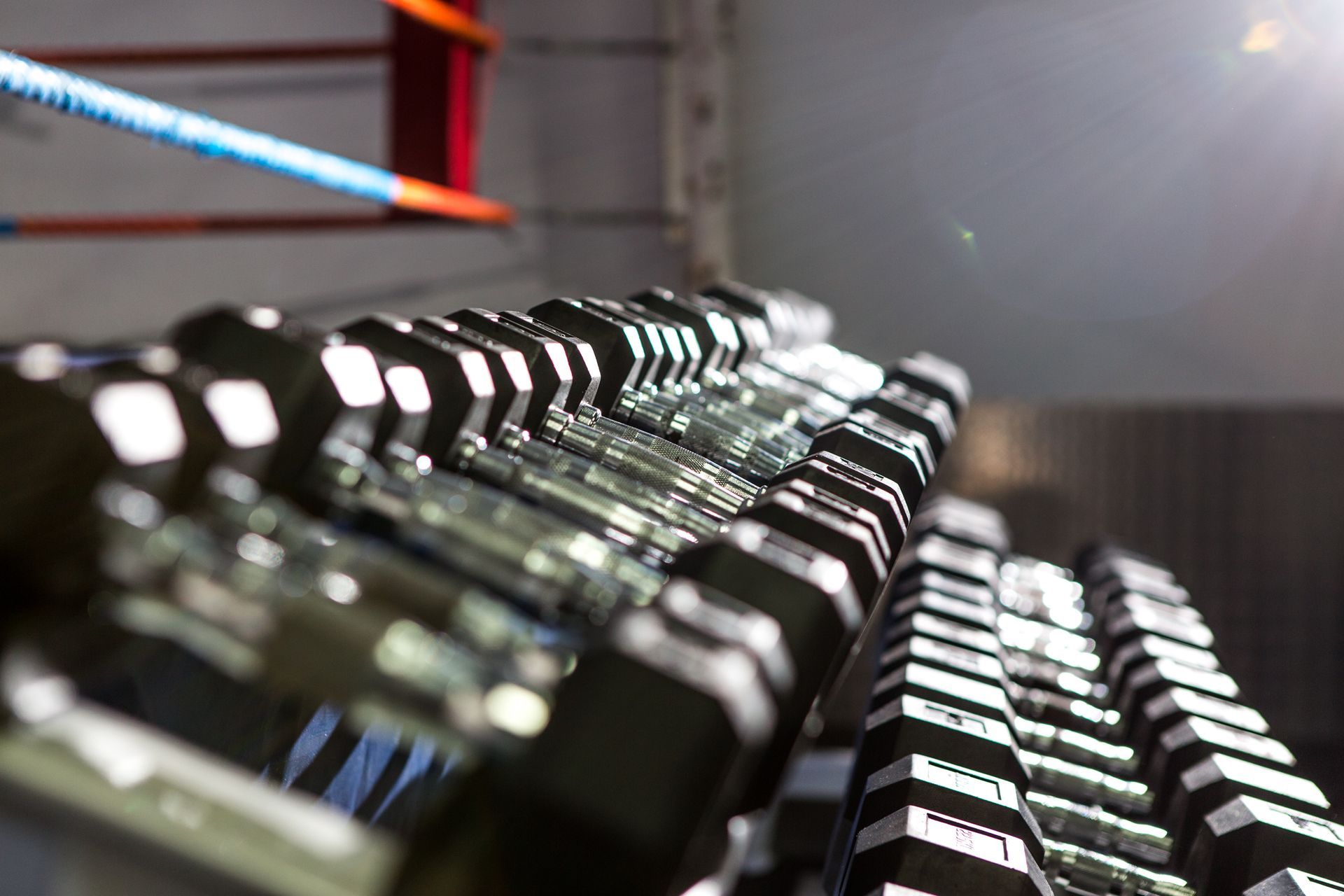 Dumbbells lined up on a rack in a gym, with focus on the handles.