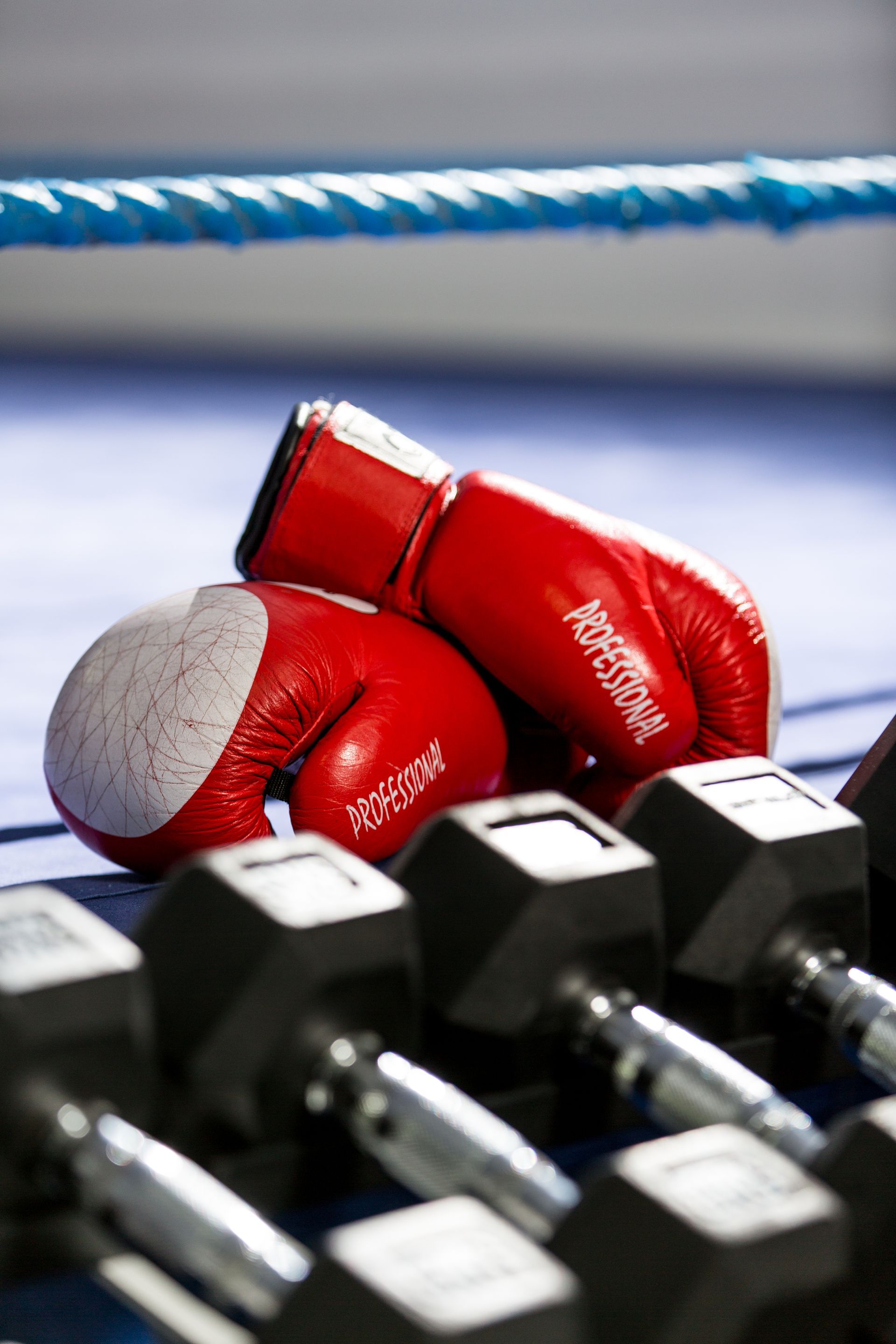 Red boxing gloves on a blue boxing ring floor with dumbbells in the foreground.