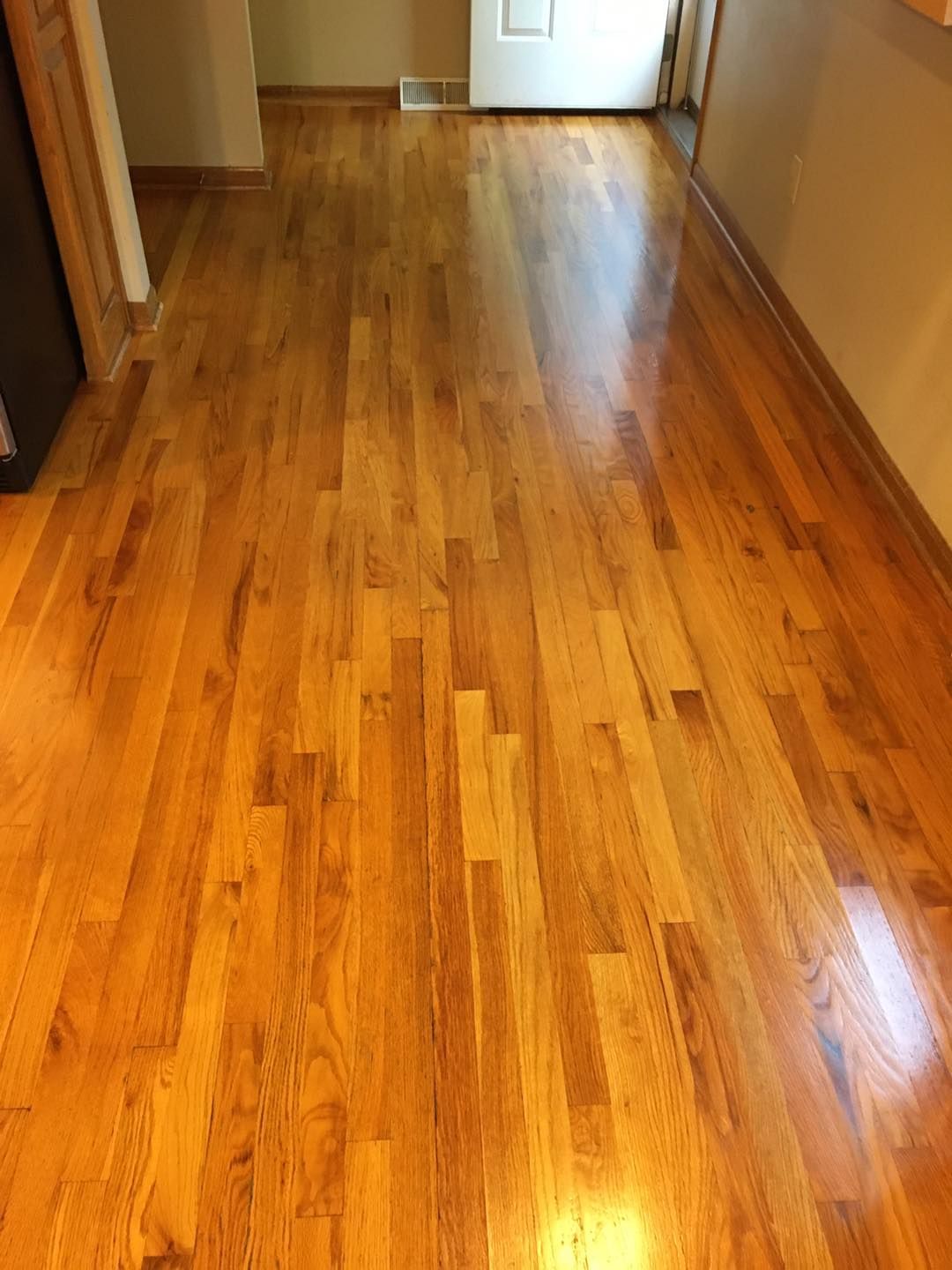 Shiny hardwood hallway floor with sunlight reflections, leading to a doorway at the end.