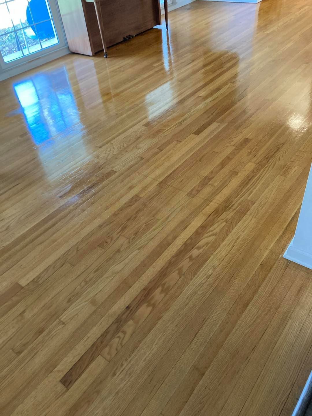 Shiny hardwood floor in an empty room with sunlight reflecting near a window