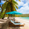 Palm-shaded tropical beach with turquoise umbrella and lounge chairs by calm blue water
