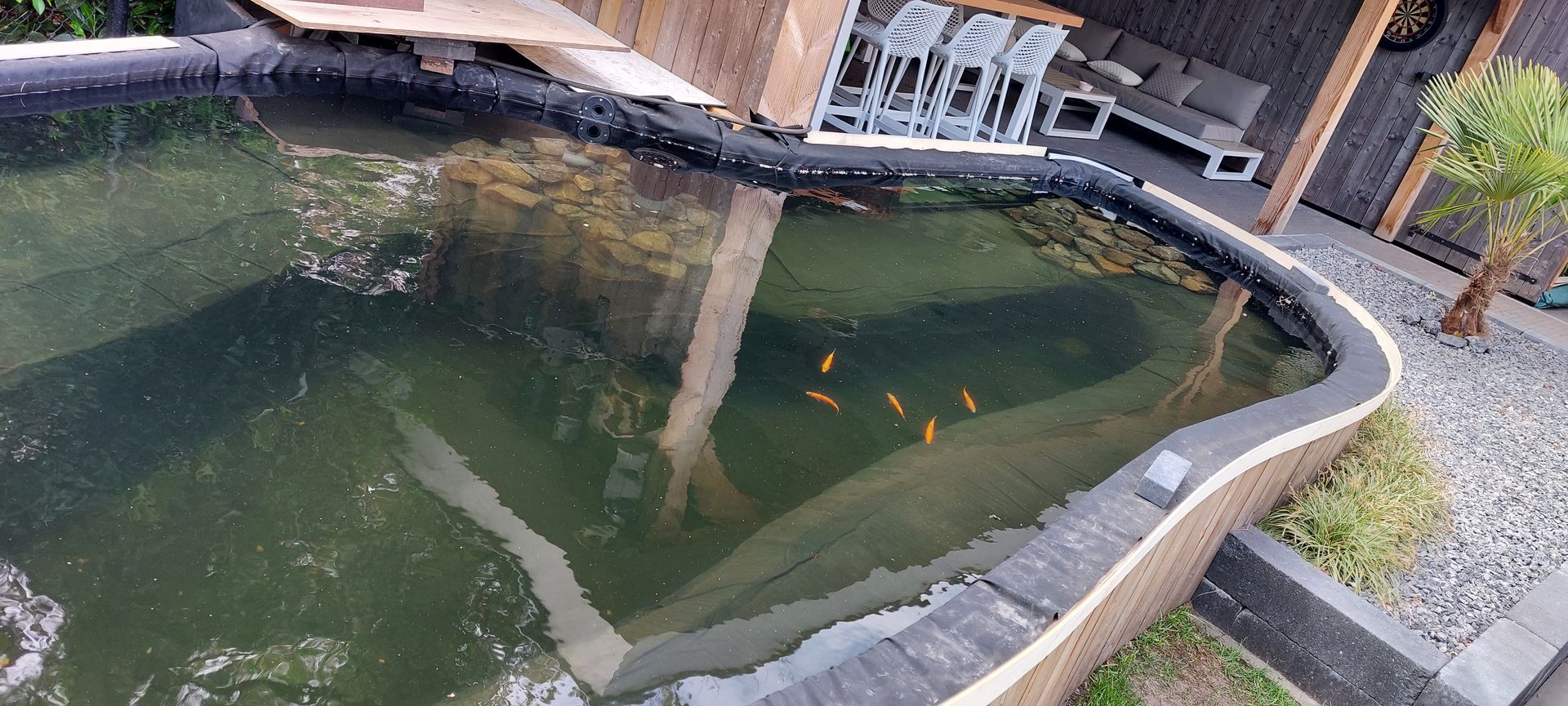 Een tuinvijver met donker water en een aantal kleine oranje visjes, omgeven door een betegeld terras.