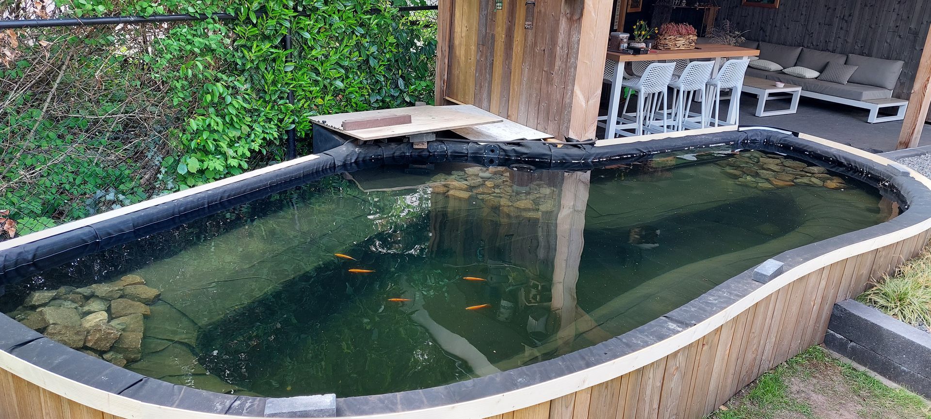 Een ovale tuinvijver met donkergroen water en diverse oranje vissen, grenzend aan een terras met tuinmeubilair.