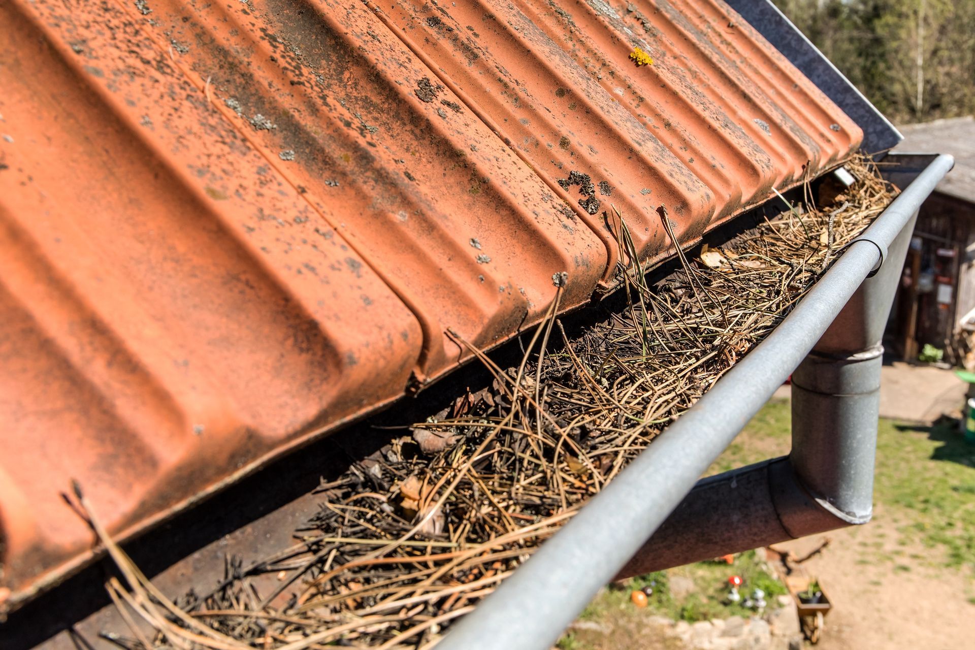 Gutter clogged with dry leaves and twigs beneath a rust-colored corrugated roof
