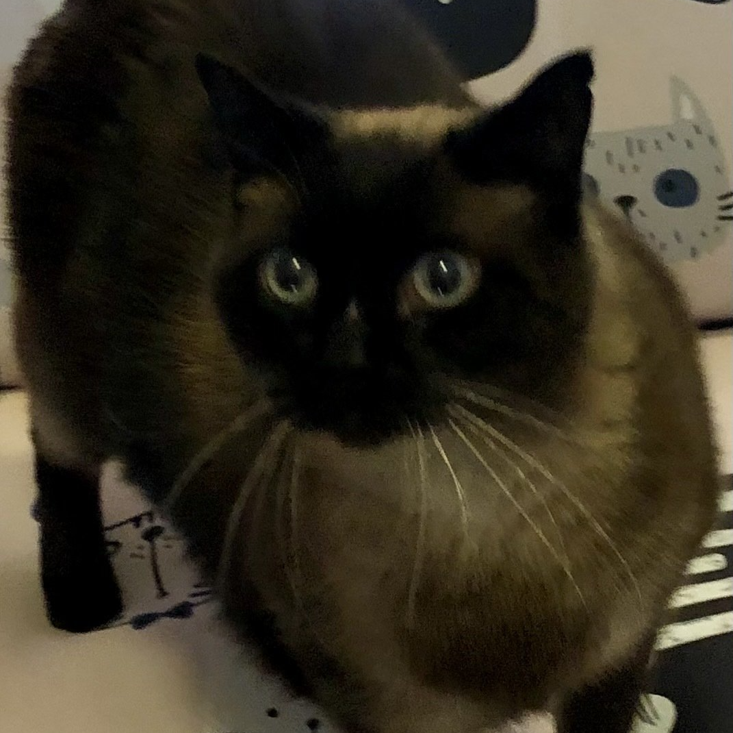 Rates & Special Playpen Pet Boarding & Grooming