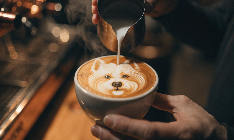 Barista pouring coffee. Elite baristas domain name