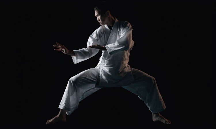 Martial artist fight finesse. Martial arts domain name