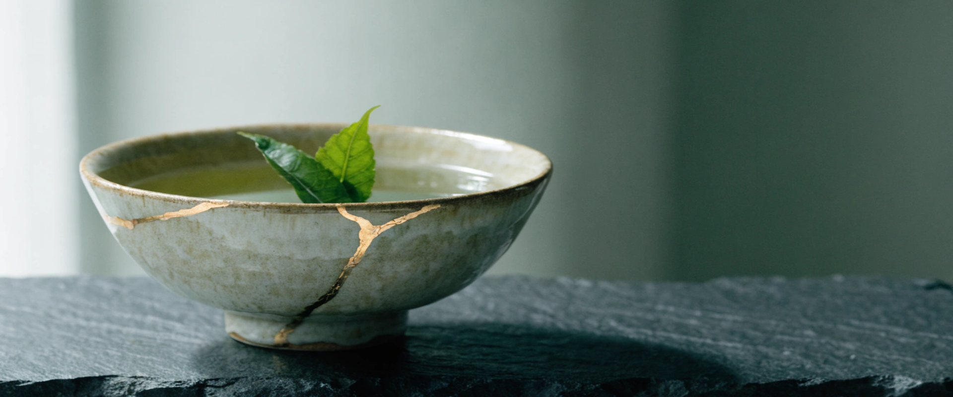 Lifestyle domains Kitsugi Bowl. Domain Terrier