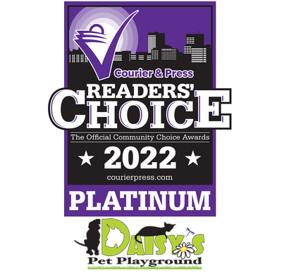 Daisy's pets playground logo