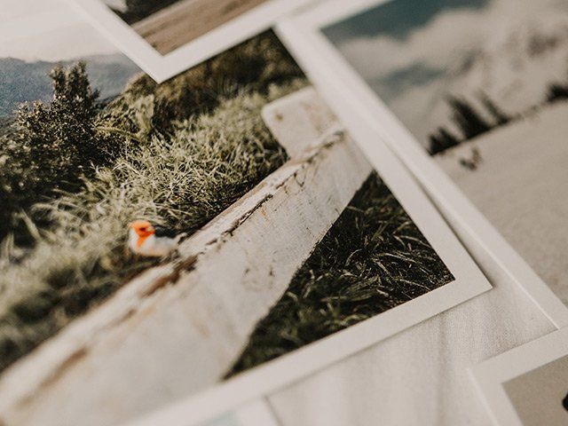 Digital Prints & Enlargements