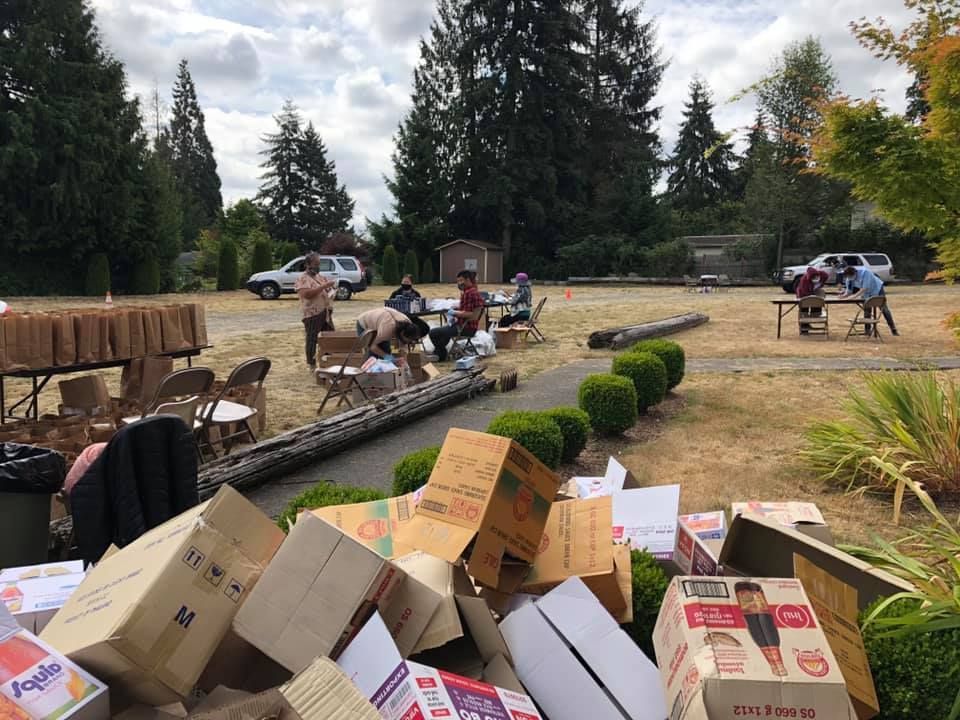 A bunch of cardboard boxes are stacked on top of each other in a yard.