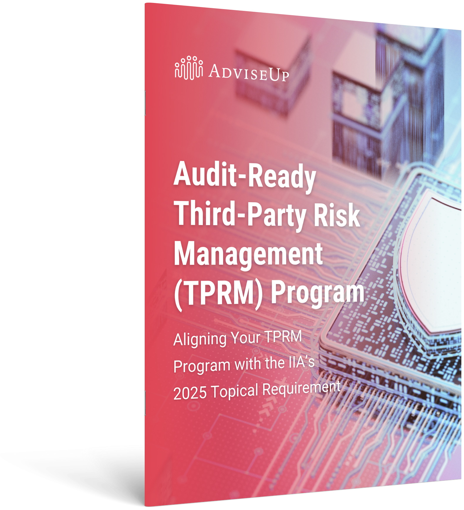 Audit-Ready Third-Party Risk Management (TPRM) Program
