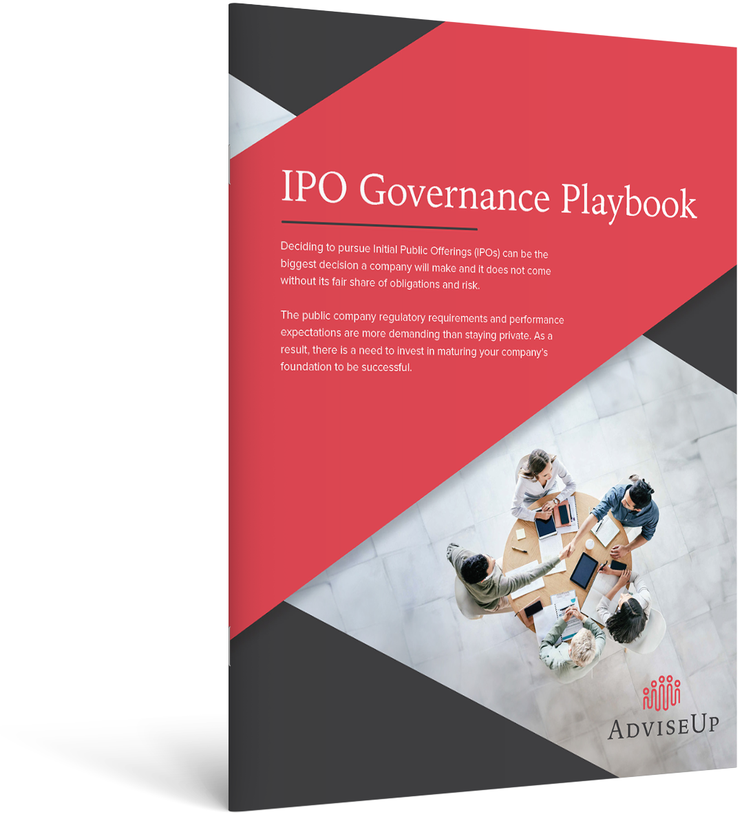 IPO Governance Playbook
