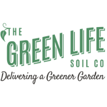 conan icon