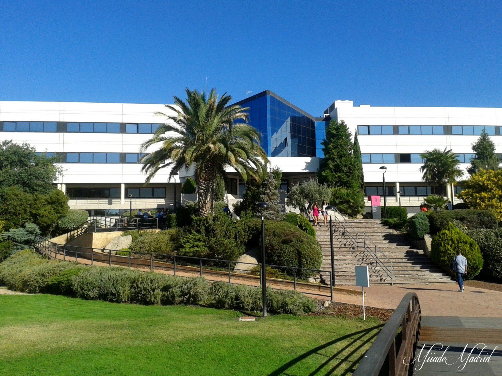 Universidad Estatal de Novorsibiks