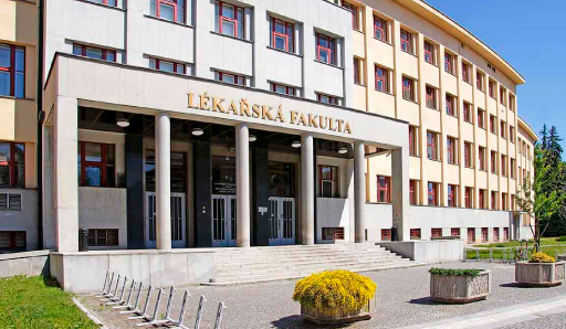 Facultad de Medicina de la Universidad de Charles Facultad de Medicina de la Universidad de Charles