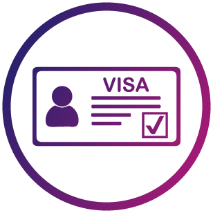 Visa Icono