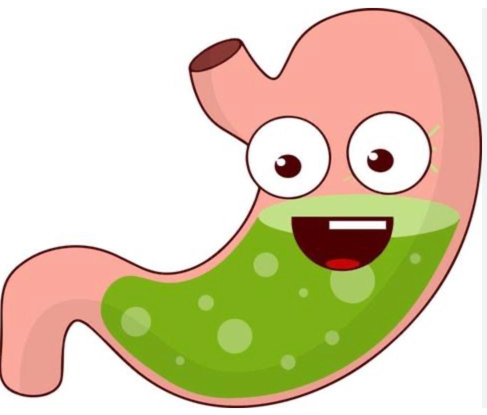 A cartoon illustration of a smiling stomach filled with green liquid.