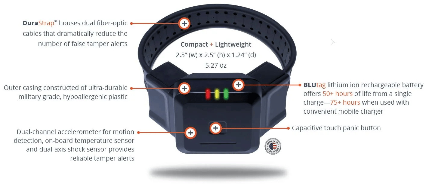 A diagram of the features of a dog collar.