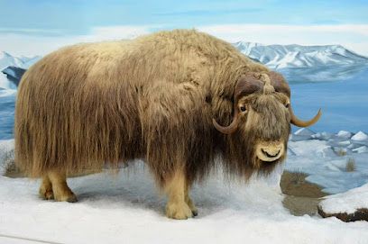 Mammoth Cave Wildlife Museum